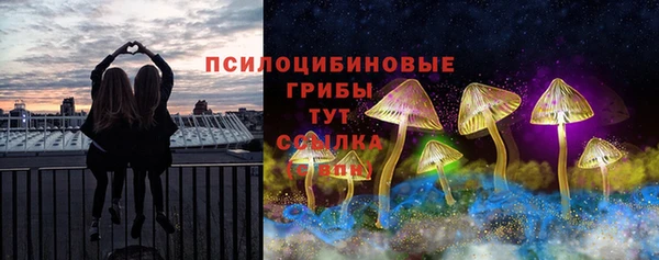 прущая мука Армянск