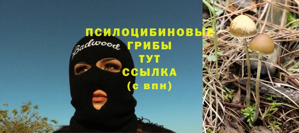 гашишное масло Аркадак