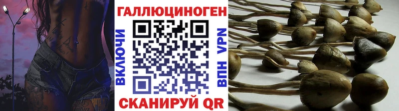 Псилоцибиновые грибы мицелий  Полесск 